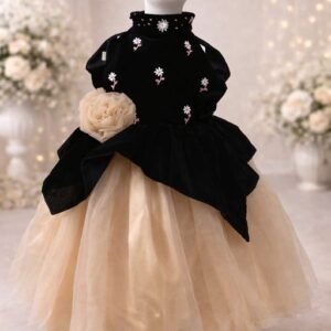 Black and beige velvet frock